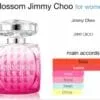 Jimmy Choo Blossom EDP 100ml