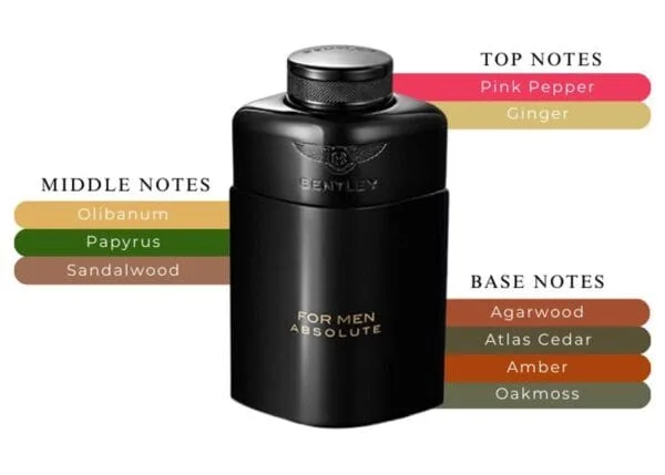 Bentley Absolute EDP 100ml