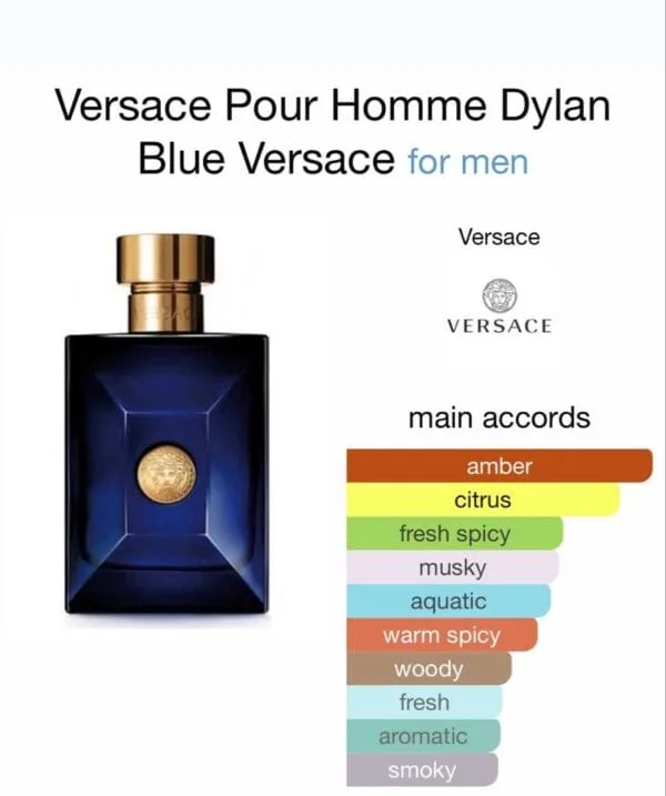 Versace Pour Homme Dylan Blue EDT 100ml