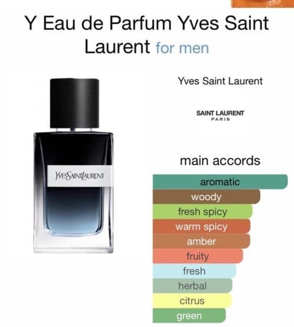 Y by YSL EDP 100ml