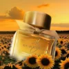 My Burberry EDP 90ml