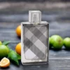 Burberry Brit For Him EDT 100ml